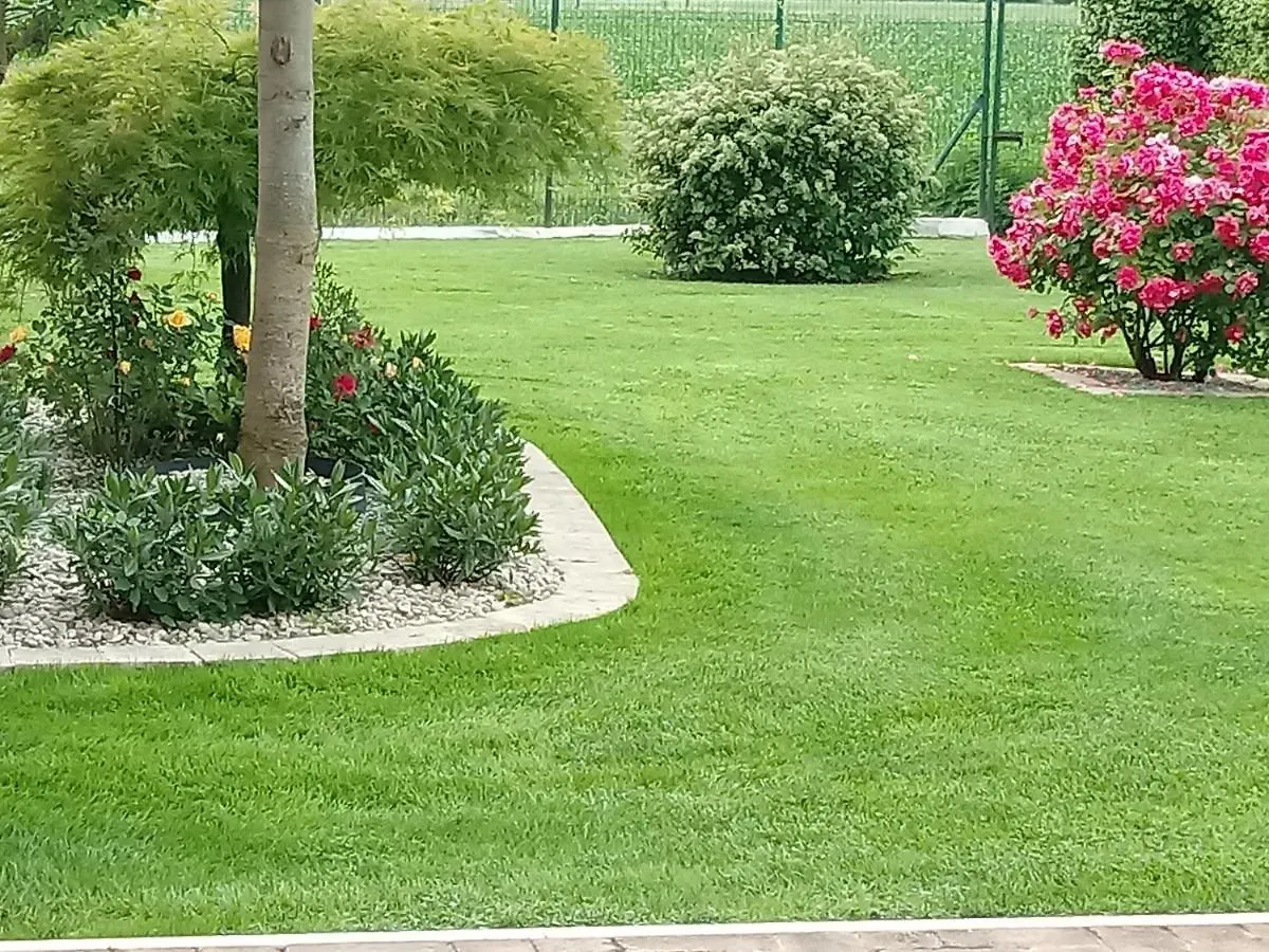 B&B Residence il Ciliegio di Luzzara Via Villa Superiore 93 Luzzara Suzzara Bed & Breakfast